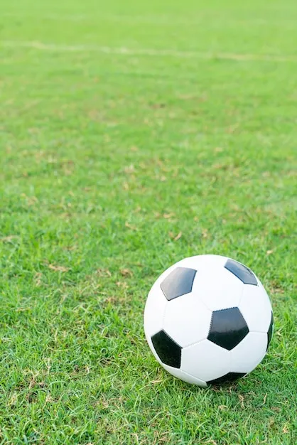 APP下载与移动端界面